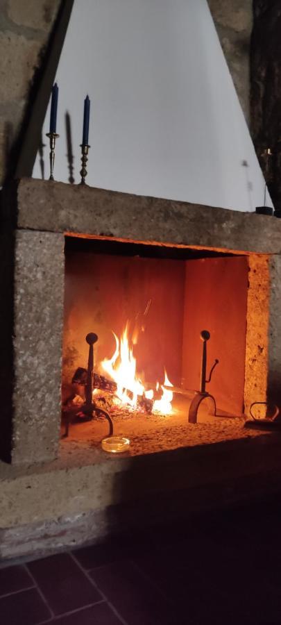 La Chascona Di Farnese Casa Di Tufo Nel Borgo Apartment Exterior foto
