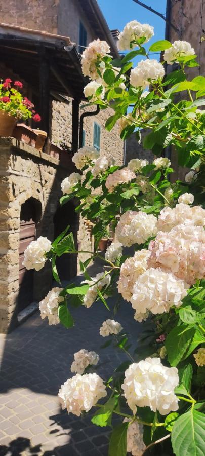 La Chascona Di Farnese Casa Di Tufo Nel Borgo Apartment Exterior foto