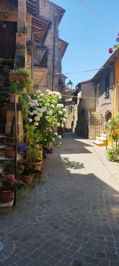 La Chascona Di Farnese Casa Di Tufo Nel Borgo Apartment Exterior foto